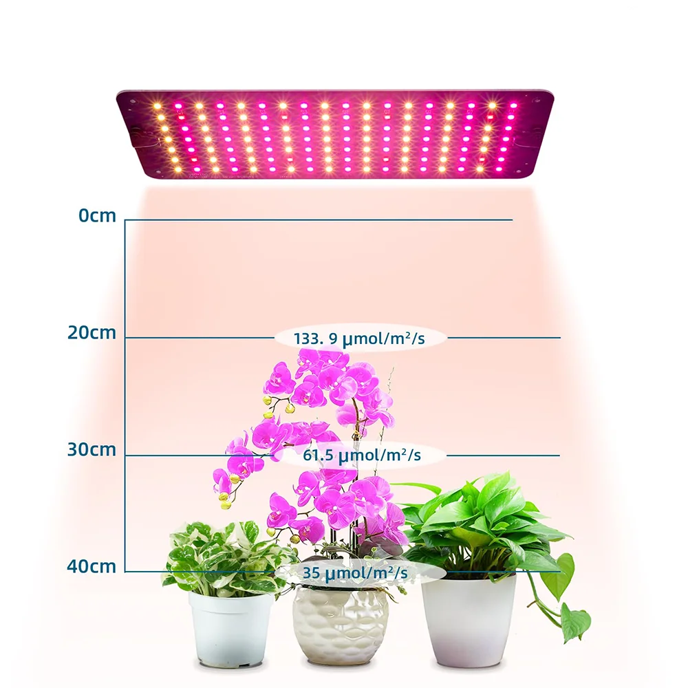 Versatile Applications for All Indoor Growing Needs