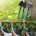 Master-Garden Collection