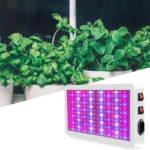 LED Grow Light