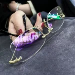 Vision Elite Sunglasses